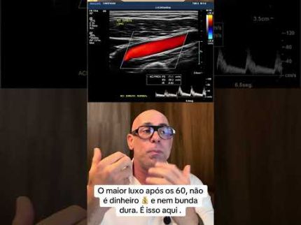 Carregando...