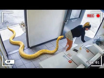 120 MOMENTOS INCRÍVEIS GRAVADOS PELAS CÂMERAS DE VIGILÂNCIA