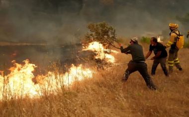 Espanha luta para ‘salvar vidas’ enquanto desabrigados de incêndios florestais se refugiam em Madrid