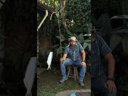 Por que PEIXE tem um cheiro tão FORTE?