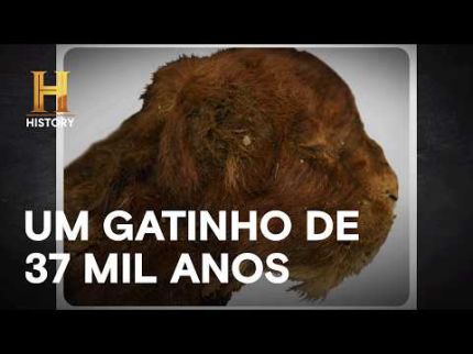 Filhote de tigre-dentes-de-sabre é encontrado!  | MISTÉRIOS INEXPLORADOS COM DANNY TREJO | HISTORY