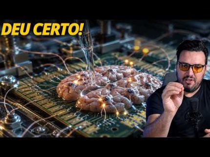CIENTISTAS CRIARAM UMA IA VIVA? O experimento com 16 milhões de neurônios humanos