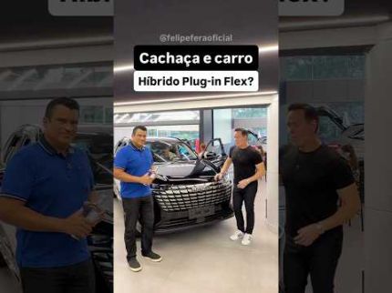 Cachaça e carro híbrido plug-in flex?