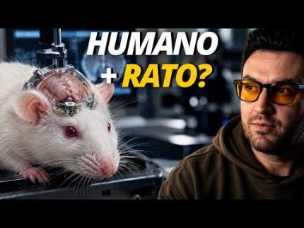 Cientistas acabam de criar um cérebro HÍBRIDO (E algo inesperado aconteceu)