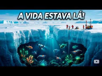 Cientistas finalmente encontraram um ecossistema oculto sob o gelo da Antártida