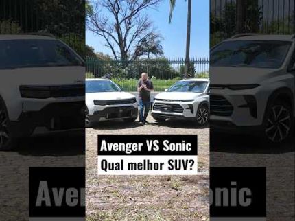 Avenger VS Sonic