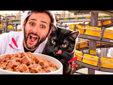 COMO é FABRICADA a COMIDA do seu PET? #Boravê