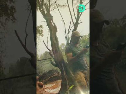 Ed precisa escolher antes da tempestade | Ed Stafford: Desafio Mortal