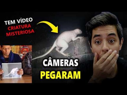 AS PESSOAS ESTÃO COM MEDO! - NOVA CRIATURA REGISTRADA NO MÉXICO - NOVO CHUPA-CABRA? + LUZES NA CHINA