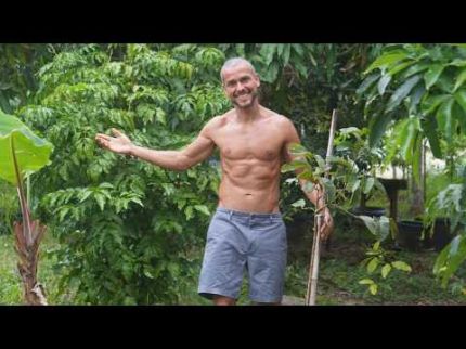 PLANTEI UMA FLORESTA DAS FRUTAS MAIS RARAS DO MUNDO! Tour no meu Quintal jardim do éden!